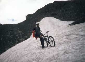 Brenner01