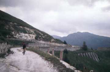 Brenner05