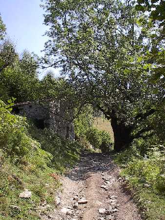 como7